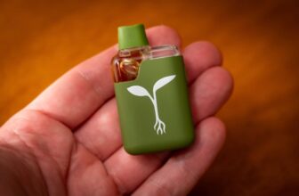 A Easy Disposable Vape Minus the Microplastics