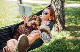 Methods to Make Relaxation Really feel Productive ...